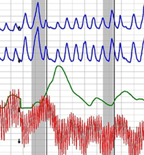 polygraph test in La Mesa